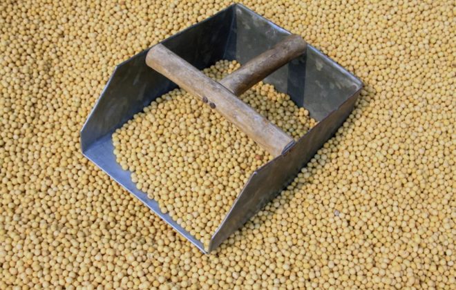 Options for supply management in canada with trade liberalization