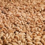 (Photo courtesy Canada Beef Inc.)