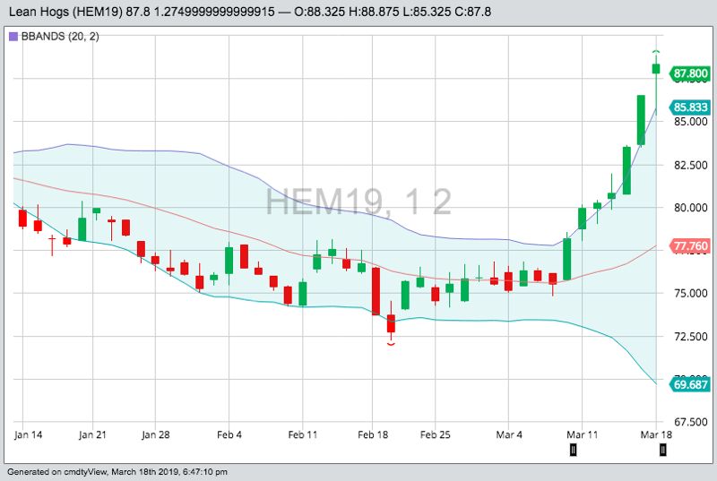 U.S. livestock: Hog futures rise on pork export optimism