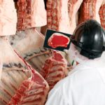 The quality seen in the North American beef supply continues to improve.