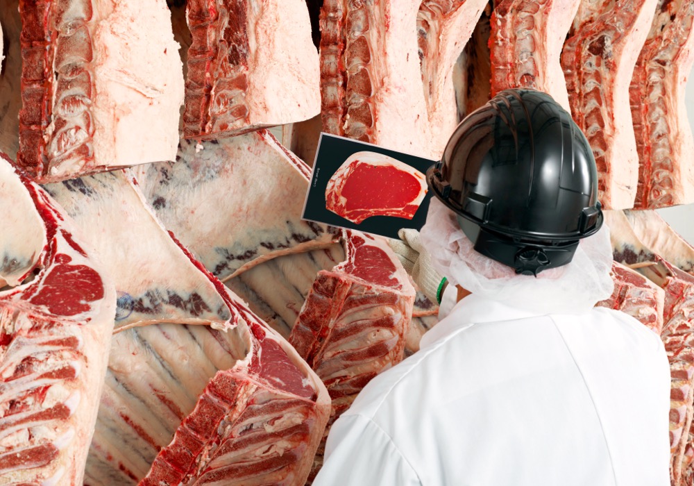 The quality seen in the North American beef supply continues to improve.