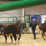 Seedstock producers selling bulls at the 2019 Pride of the Prairies bull sale in Lloydminster, Sask. COVID-19 has shifted many bull buyers online in an effort to limit the disease's spread.