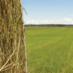 “Trying to produce crops that are not suited to your soils leads to low yields, high production costs and a higher land requirement to meet production goals.