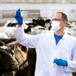 Science often struggles to communicate its research findings as they are often technical and not readily understood.