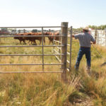 COVID-19 has pushed show organizers to hold Ag in Motion online this summer.