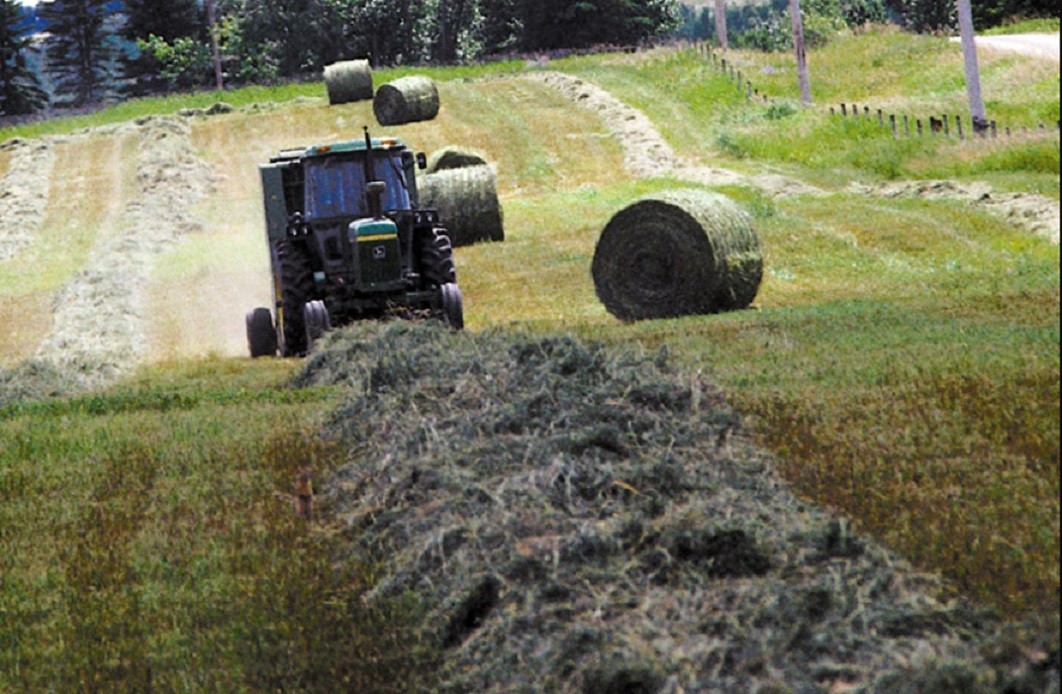 Haying is underway in Western Canada.