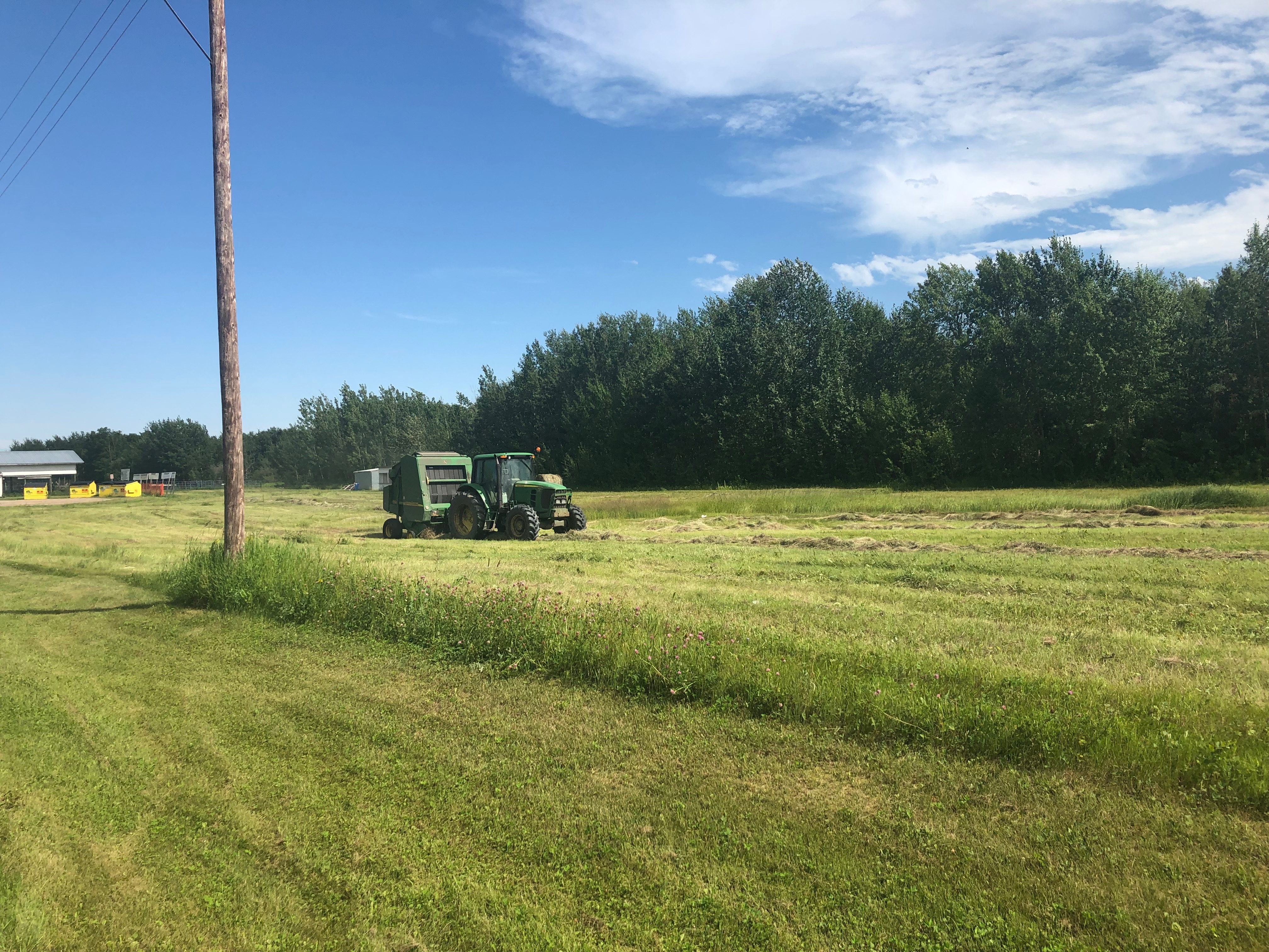 A producer in northwest Sask. bales ahead of forecasted rain in July.