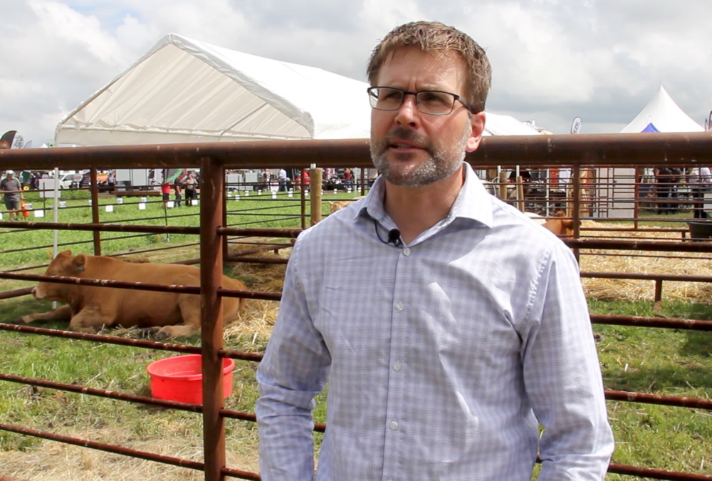 VIDEO: Summer pasture concerns for cattle