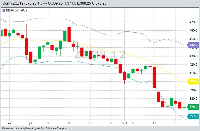 CBOT December 2019 corn with Bollinger bands, a gauge of market volatility. (Barchart)
