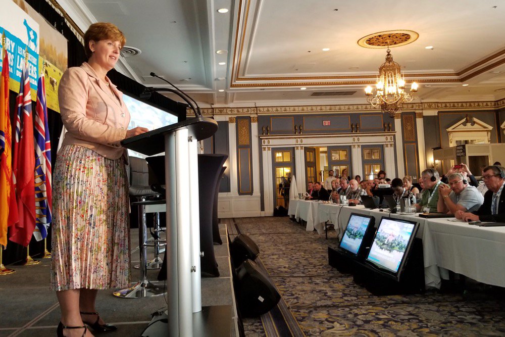 Agriculture Minister Marie-Claude Bibeau addresses the 2019 Dairy Farmers of Canada AGM in Saskatoon in July. (Photo courtesy AAFC)
