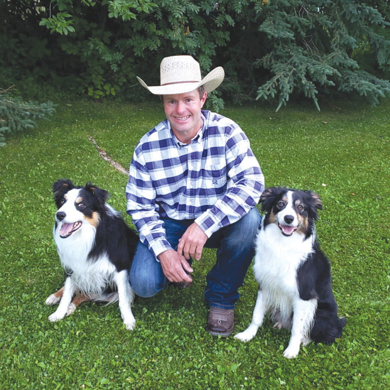 Help Wanted Fourlegged livestock handler Canadian Cattlemen