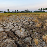 According to the report from the United Nations’ Intergovernmental Panel on Climate Change, a half-billion people already live in places turning to desert, and soil is being lost between 10 and 100 times faster than it is being produced.