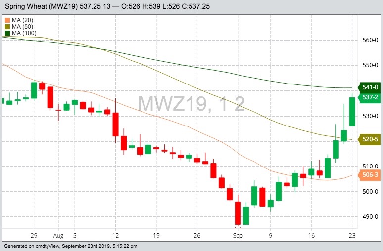 MGEX December 2019 spring wheat with 20-, 50- and 100-day moving averages. (Barchart)
