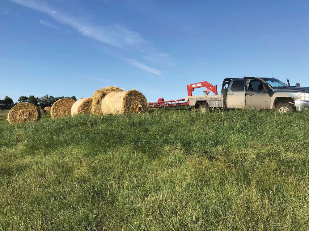 Ducks Unlimited accepting bids for hay tenders in Manitoba