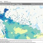 Alberta snow further delays canola harvest, boosts prices