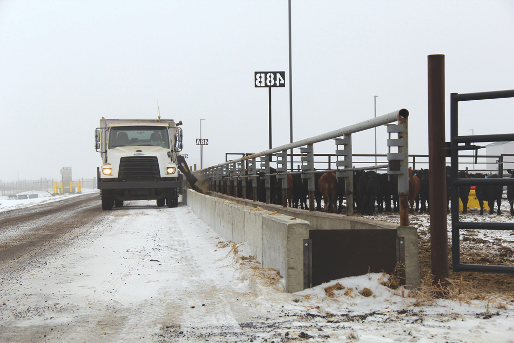 Ionophores are used most extensively in feedlot cattle diets, but are generally considered a good investment regardless of the diet fed. 