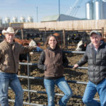Bart Lardner, Janelle Smith and John McKinnon are conducting the backgrounding study.