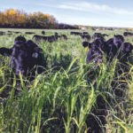 Kenyon: A recipe for regenerative agriculture