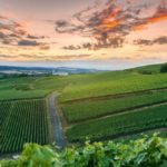 Champagne vineyards at Montagne de Reims, France. (Southtownboy/iStock/Getty Images)
