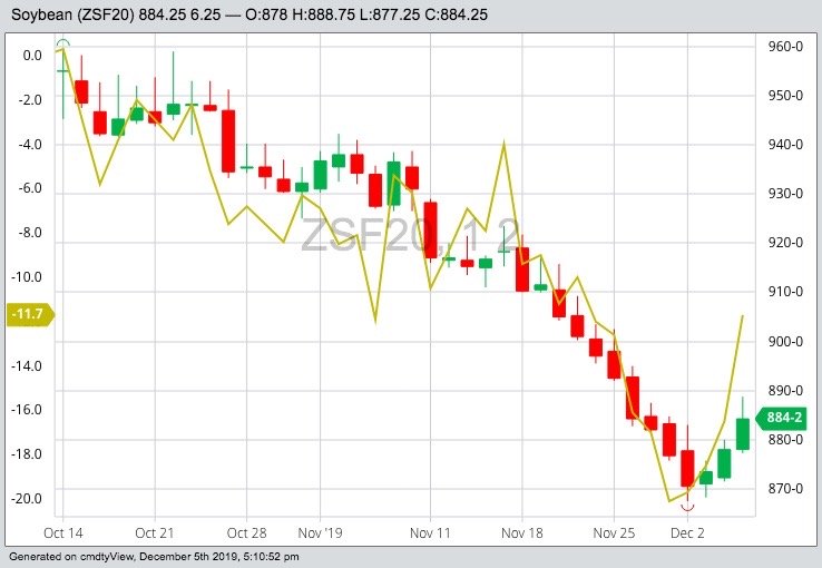 CBOT January 2020 soybeans (candlesticks) with January 2020 soymeal (yellow line). (Barchart)
