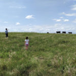 Tyler Fewings believes lifelong learning is vital in today’s beef industry.