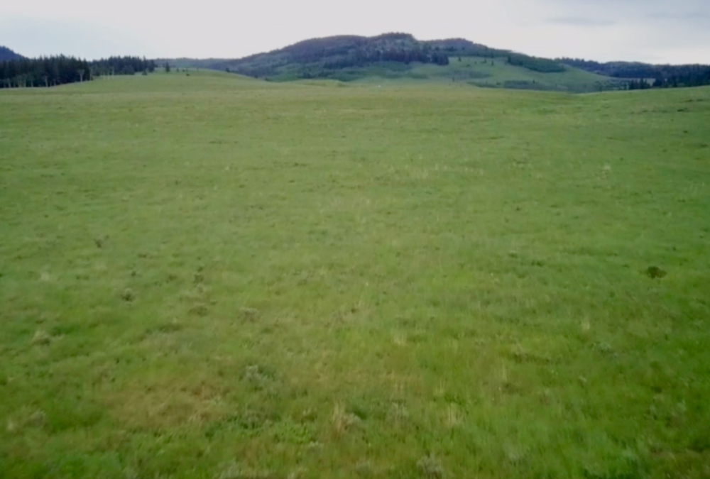 Ag in Motion's Discovery Plus will screen the short documentary Guardians of the Grasslands July 24 and 25.