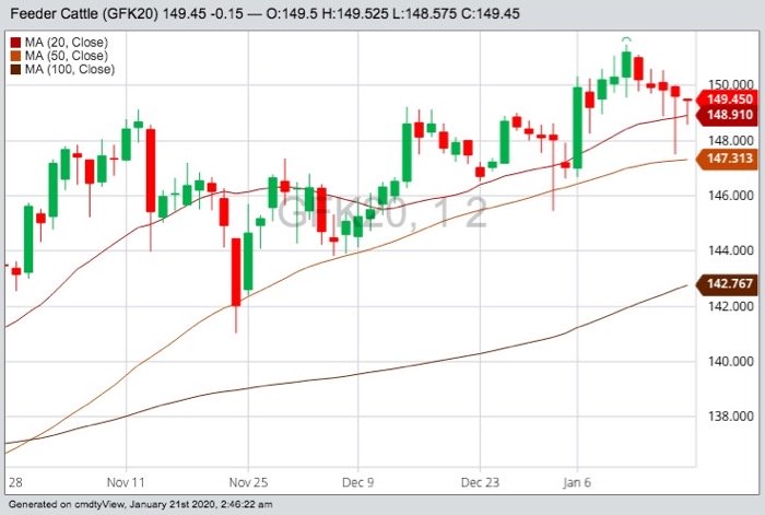 CME May 2020 feeder cattle with 20-, 50- and 100-day moving averages. (Barchart)
