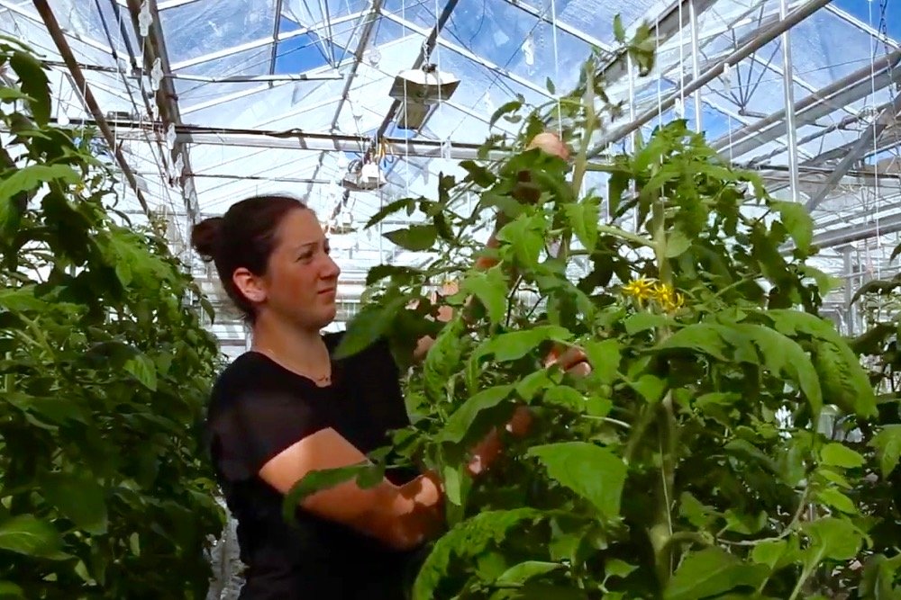 (Screengrab from Canadian Agricultural Youth Council video via YouTube)
