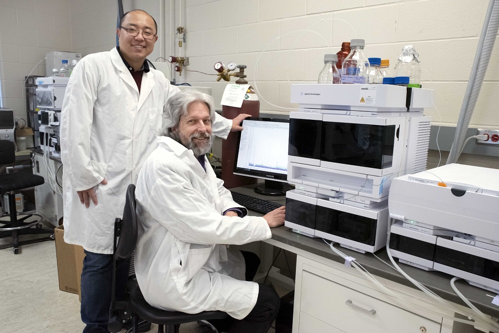 Researchers Lipu Wang and Randy Kutcher have come up with a quick, accurate way to measure DON in cereal crops. (Photo: University of Saskatchewan)