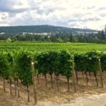 Tighter regulations take effect for B.C. farmland reserve