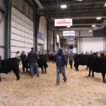 Exhibitors wait outside the show ring at Agribition in 2018.