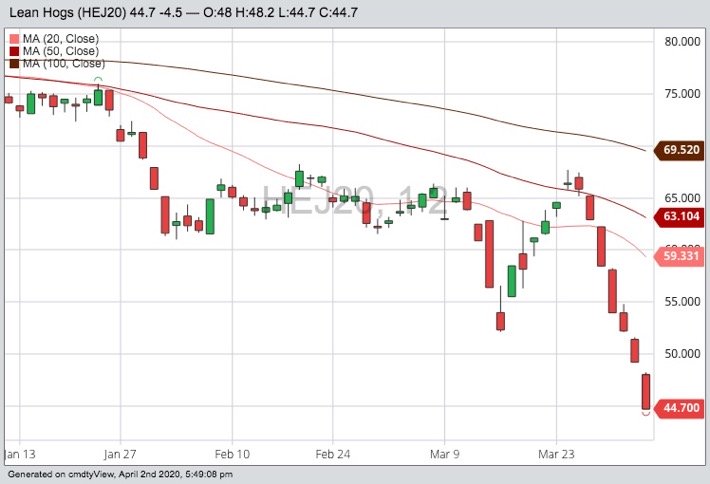 CME April 2020 lean hogs, with 20-, 50- and 100-day moving averages. (Barchart)
