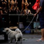 A man walks with his pet dog as he talks to a vendor who sells dog meat at a market during the local dog meat festival at Yulin in China’s Guangxi Autonomous Region on June 21, 2018. (File photo: Reuters/Tyrone Siu)