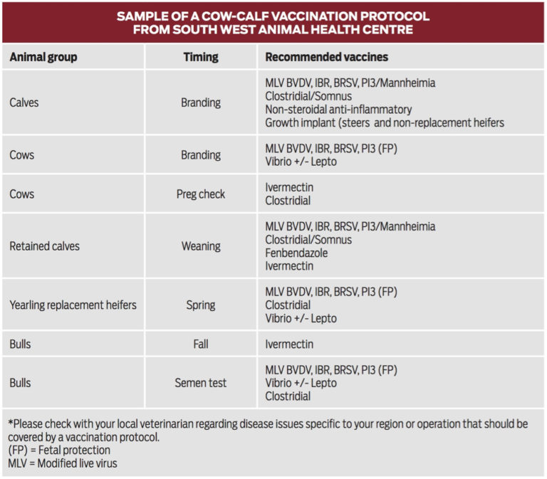 Importance of Vaccine Protocol and Vaccination Programs Canadian