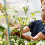 File photo of a small greenhouse operation in Quebec. (ManonAllard/E+/Getty Images)