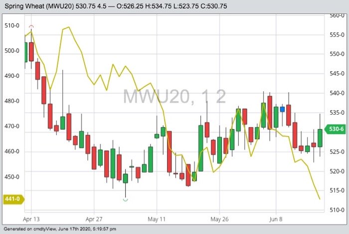 MGEX September 2020 spring wheat (candlesticks) and Kansas City (K.C.) September 2020 hard red winter wheat (yellow line). (Barchart)
