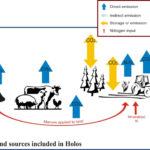Researchers seek producer feedback on environmental assessment software