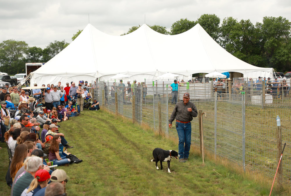 Jared Epp during his stock dog demonstration at Ag in Motion in 2019.