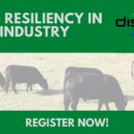 Beef supply chain players talk resiliency at Ag in Motion Discovery Plus
