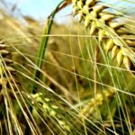 Photo: iStock