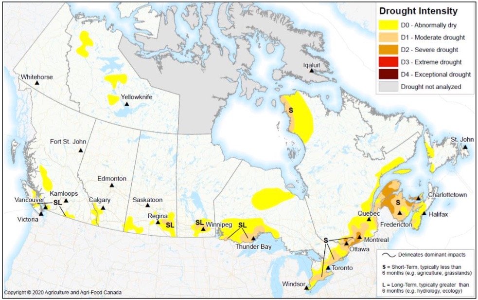 Conditions reported to AAFC’s Canadian Drought Monitor as of July 31, 2020. (Agr.gc.ca)
