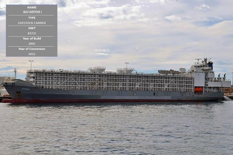 Screenshot of the Gulf Livestock 1 from the website of Dubai-based shipping company Gulf Navigation. (GulfNav.com)
