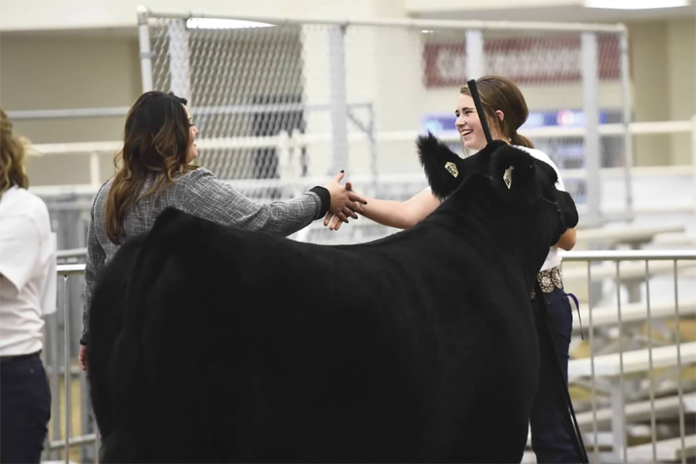 For Abby Scholz, a certification program has helped link the show ring to production agriculture.