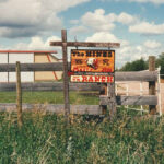 Six generations of the Hines family have been involved in the Marwayne-area ranch over the last 100 years.