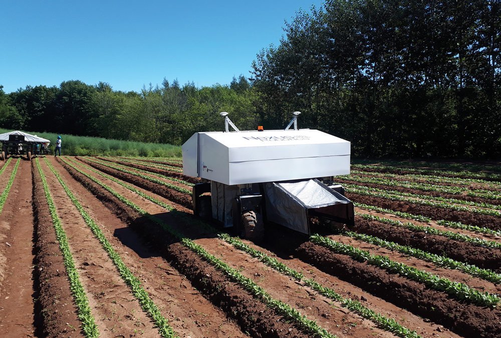 Nexus’ prototype R2-Weed2 system. (Nexus Robotics photo by Teric Greenan)
