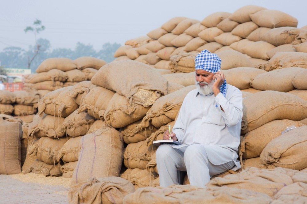File photo of rye at a grain market in India. (Deepak Sethi/E+/Getty Images)
