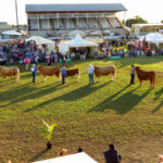 A photo of Australia’s Beef Week in Queensland which I attended in 2018, well before COVID-19 ground life to a halt.