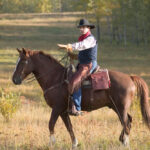 Handling cattle is a physical act that requires handlers to constantly assess changing risks, says Reg Steward.
