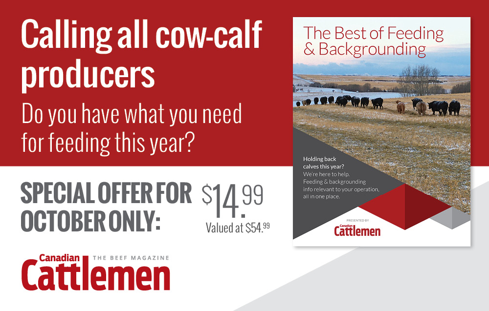 Holding back calves this year? Feeding & backgrounding info, here