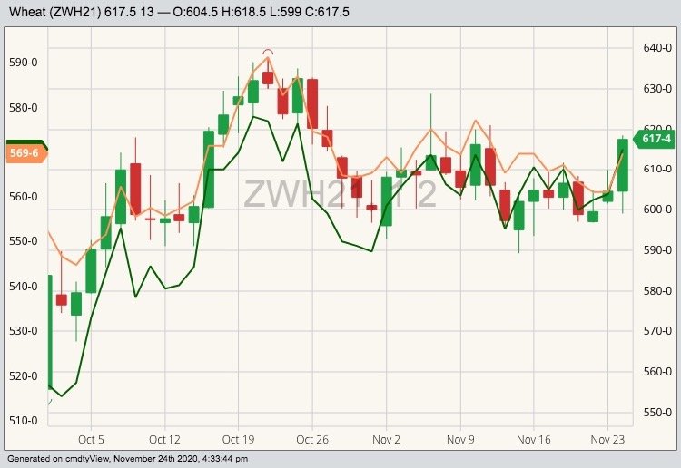 CBOT March 2021 wheat (candlesticks) with K.C. (green line) and MGEX (orange line) March 2021 wheat. (Barchart)

